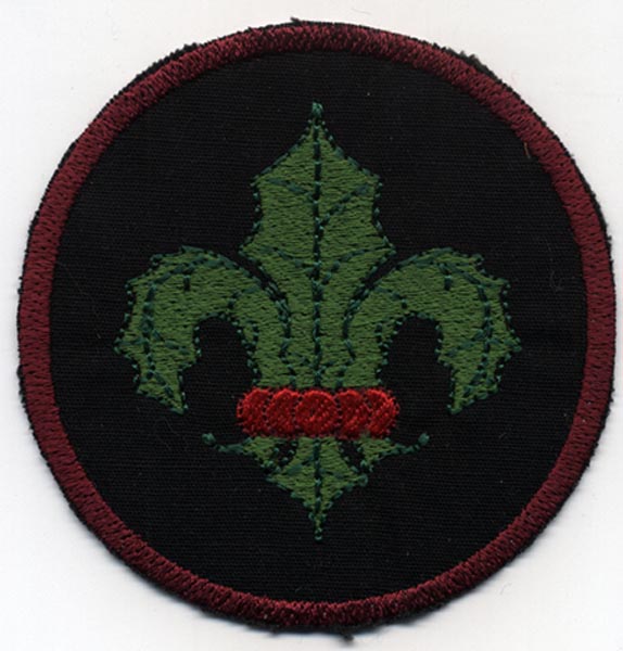bfi11